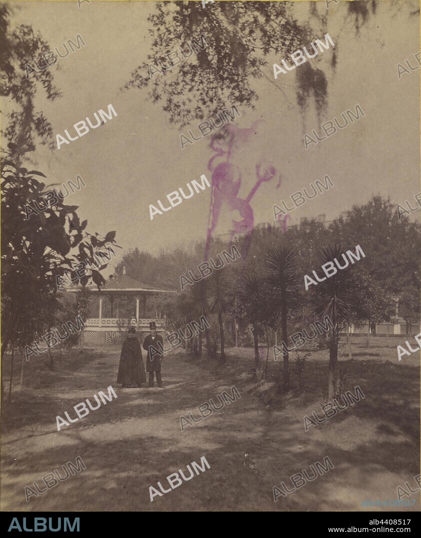 St. James Park, Jacksonville, Florida, J.S. Mitchell & Charles N. De Waal, 1880s, Albumen silver print.
