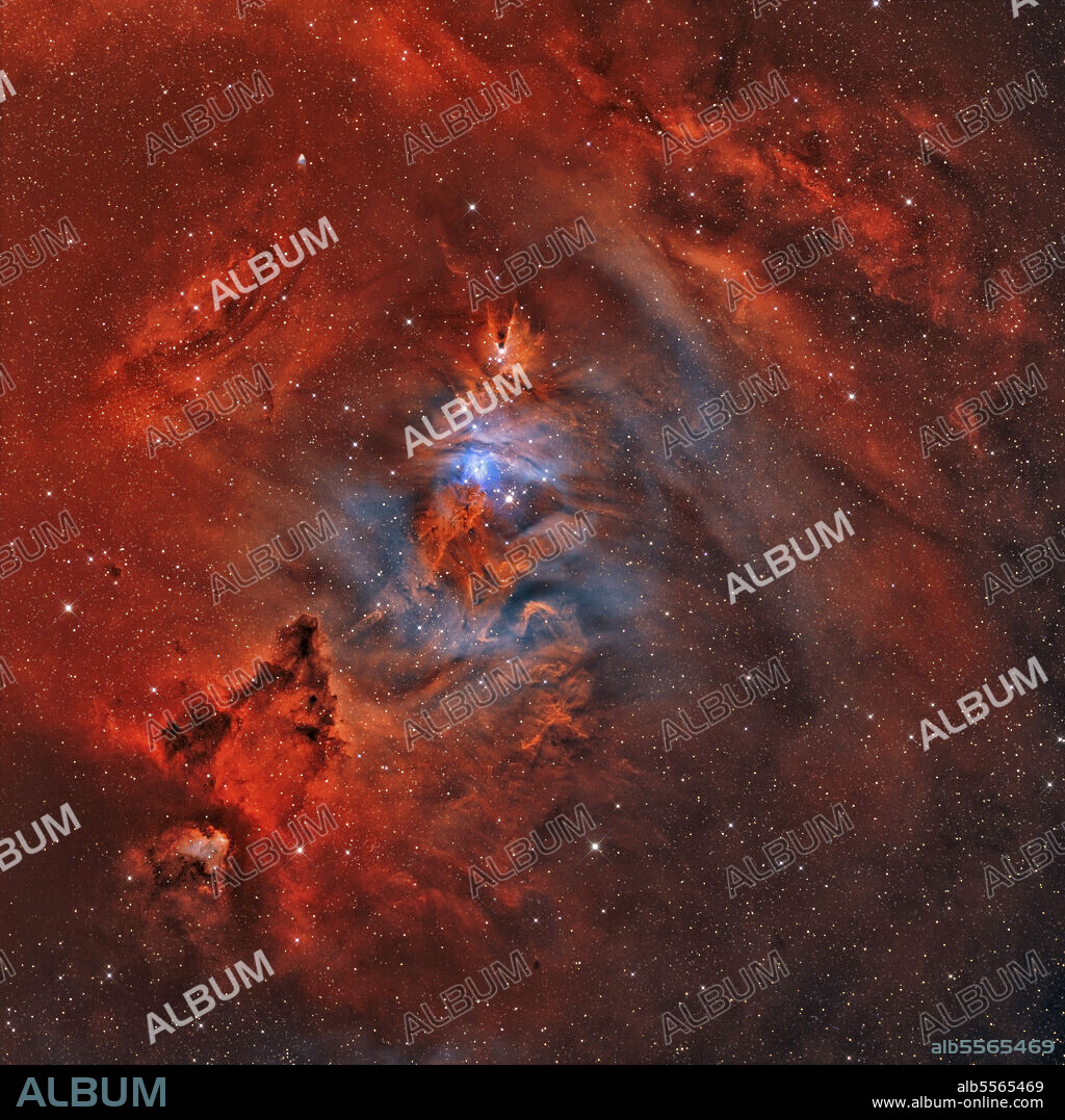 NGC 2264, the Christmas Tree Nebula with Cone Nebula and Fox Fur Nebula.