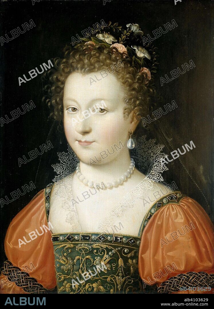 Portrait of a Woman (previously identified as Queen Elizabeth I). Dating: 1550 - 1574. Place: Fontainebleau. Measurements: h 43.7 cm × w 32.2 cm × t 0.8 cm; d 5.0 cm.
