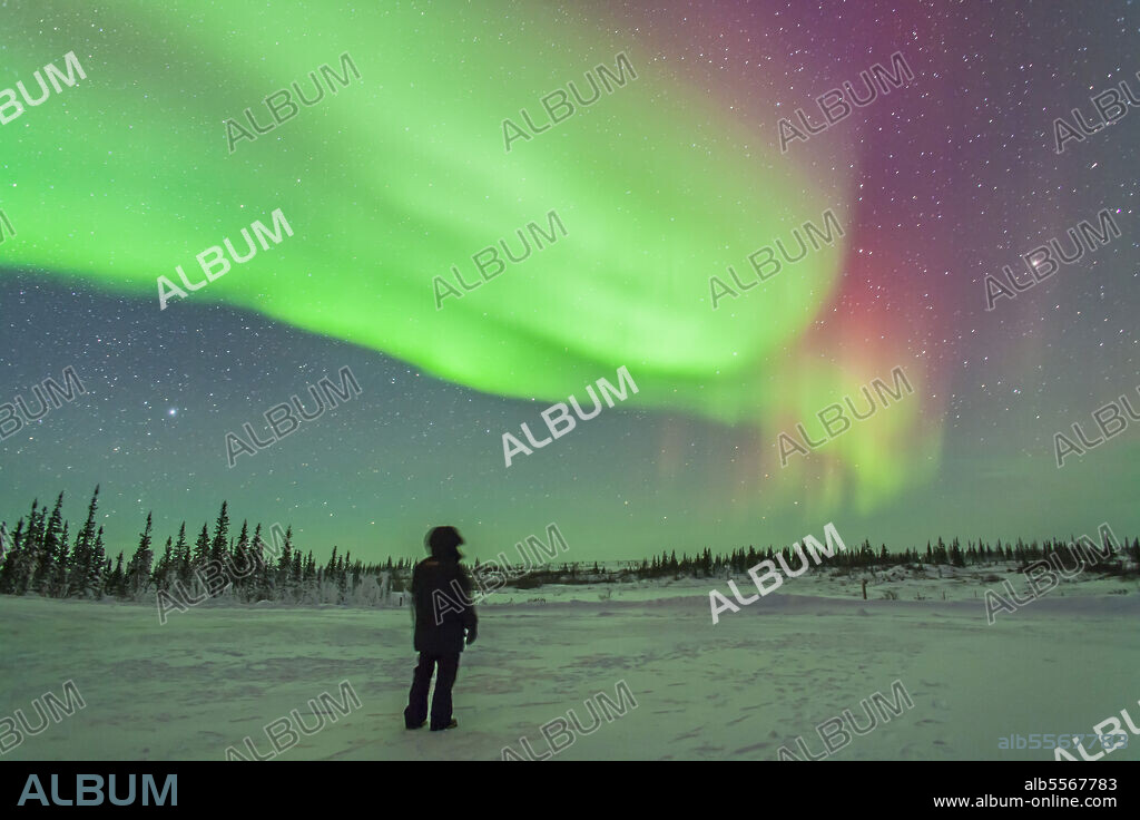 The aurora borealis of February 3-4, 2014 seen from Churchill, Manitoba, Canada. Vega is setting at left, Arcturus is rising at right.