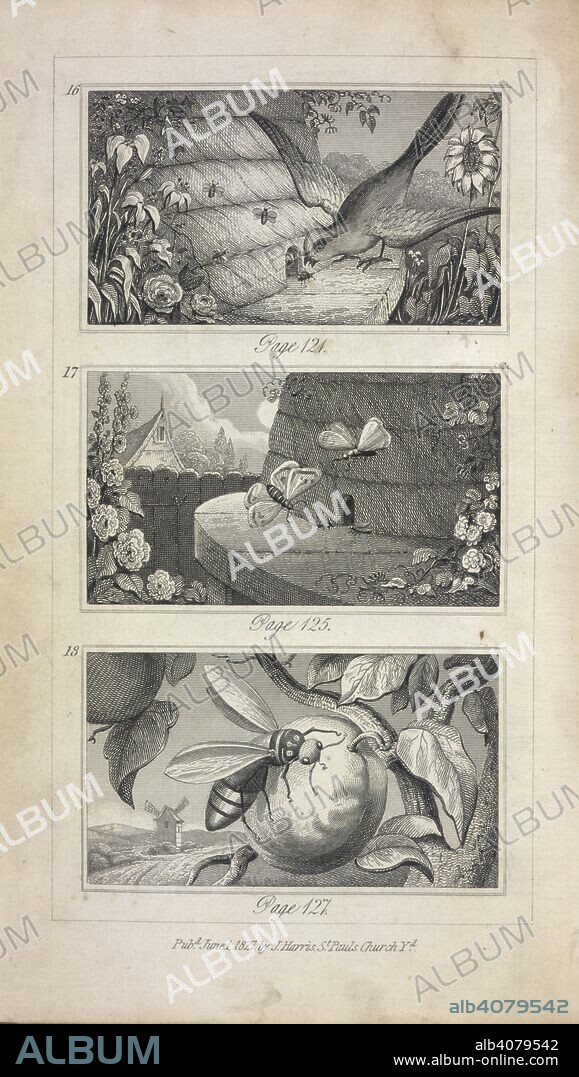 MRS C. JOHNSTONE I. A beehive. Scenes of Industry displayed in the Bee-Hive and the Ant-Hill. John Harris: London, [1829?]. Source: RB.23.a.1597, 121. Language: English.