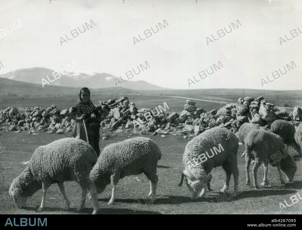 Segovia. Pastora con ovejas.