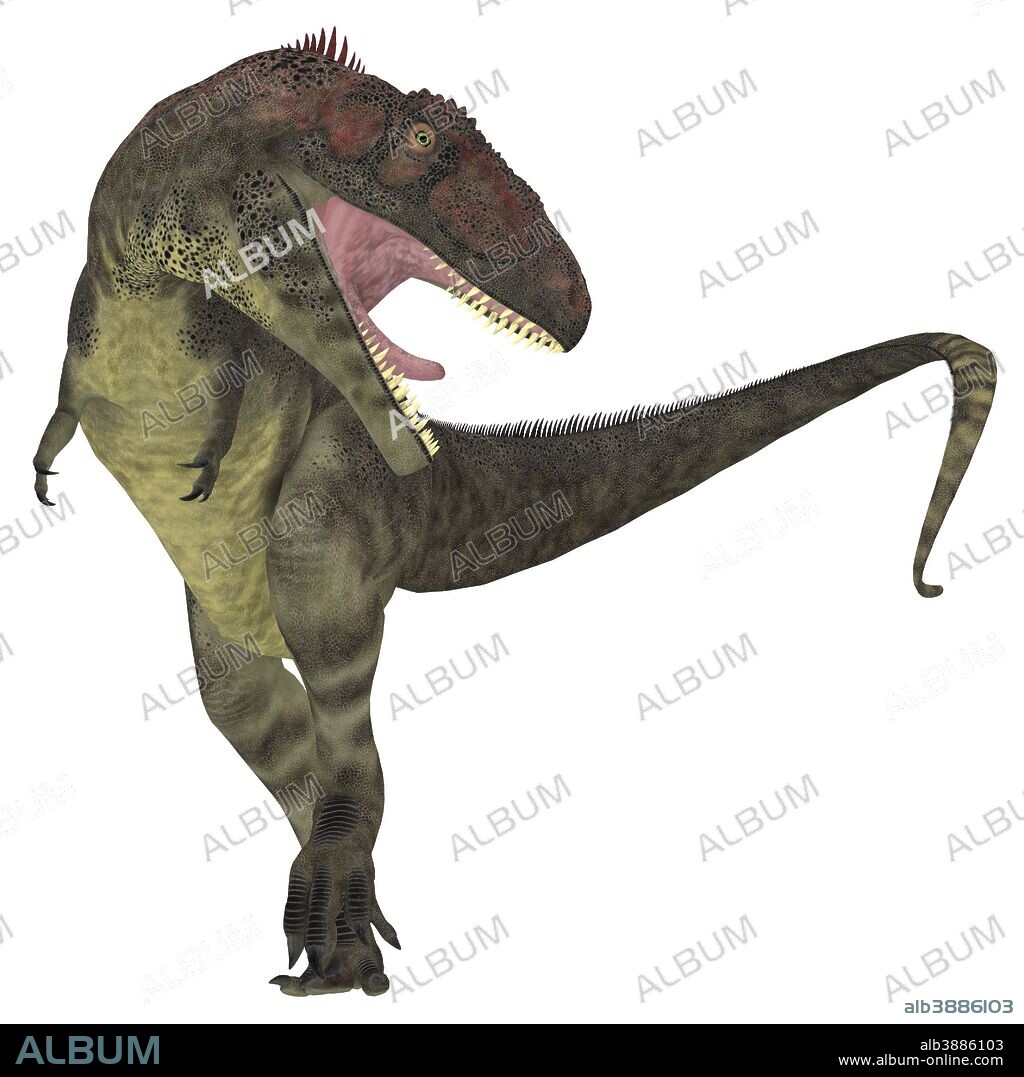Mapusaurus dinosaur. Mapusaurus was a giant carnivorous theropod dinosaur that lived during the Cretaceous Period of Argentina.