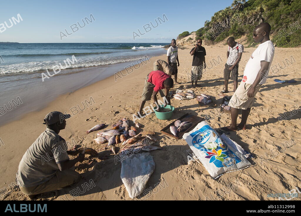Tofo Beach, Mozambique, Africa.