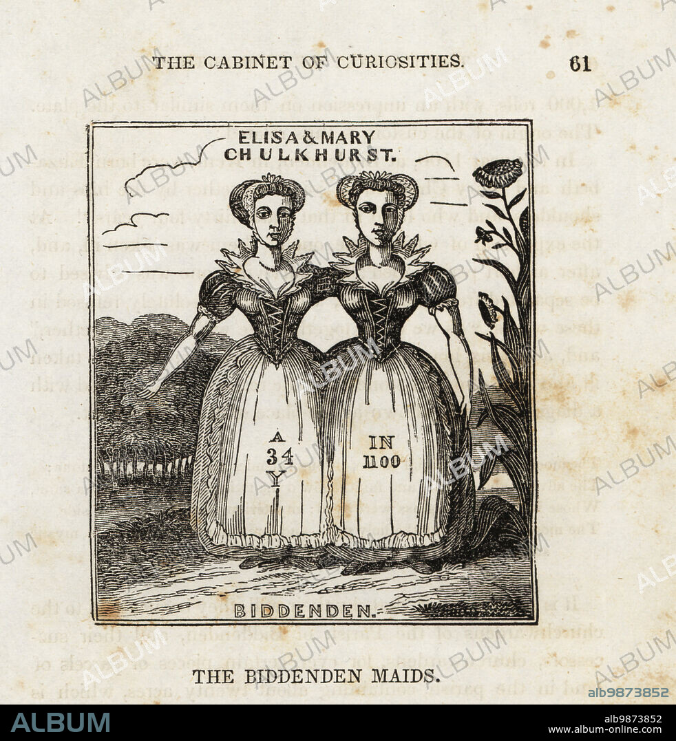 Elizabeth and Mary Chulkhurst, the Biddenden Maids, died aged 34 in 1100. Legendary 11th century conjoined twins or Siamese twins from Kent, England. Woodcut from The Cabinet of Curiosities, or Wonders of the World Displayed, Henry Piercy, New York, 1836.