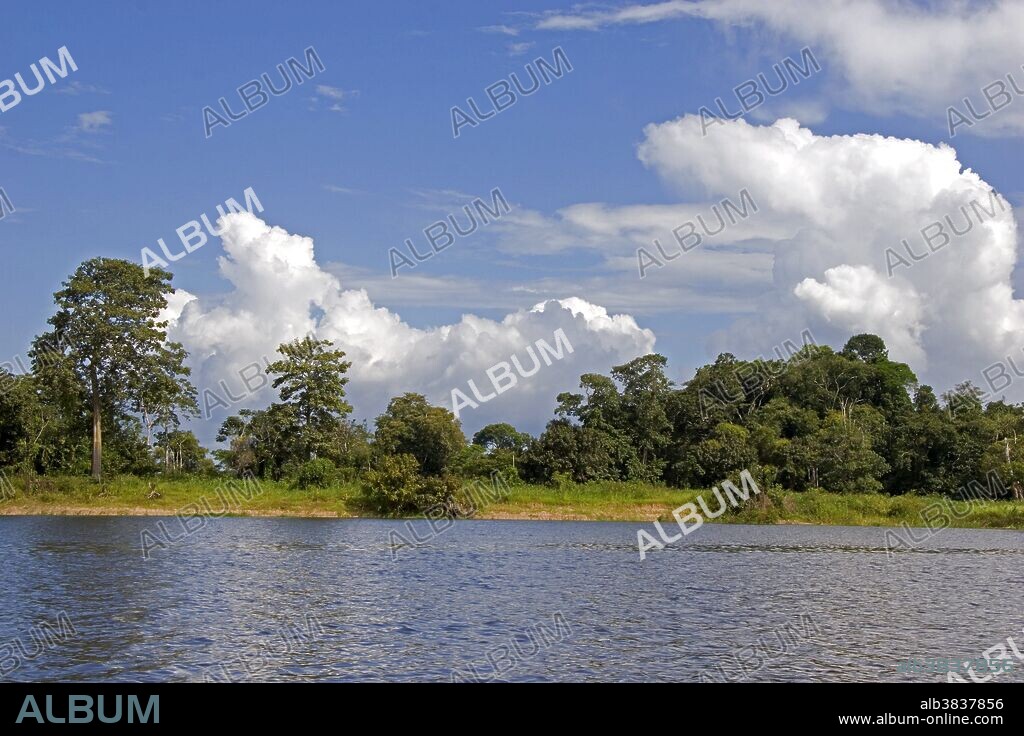 Storm clouds gather over the Arasa River in the Amazon jungle near Manaus, Brazil.