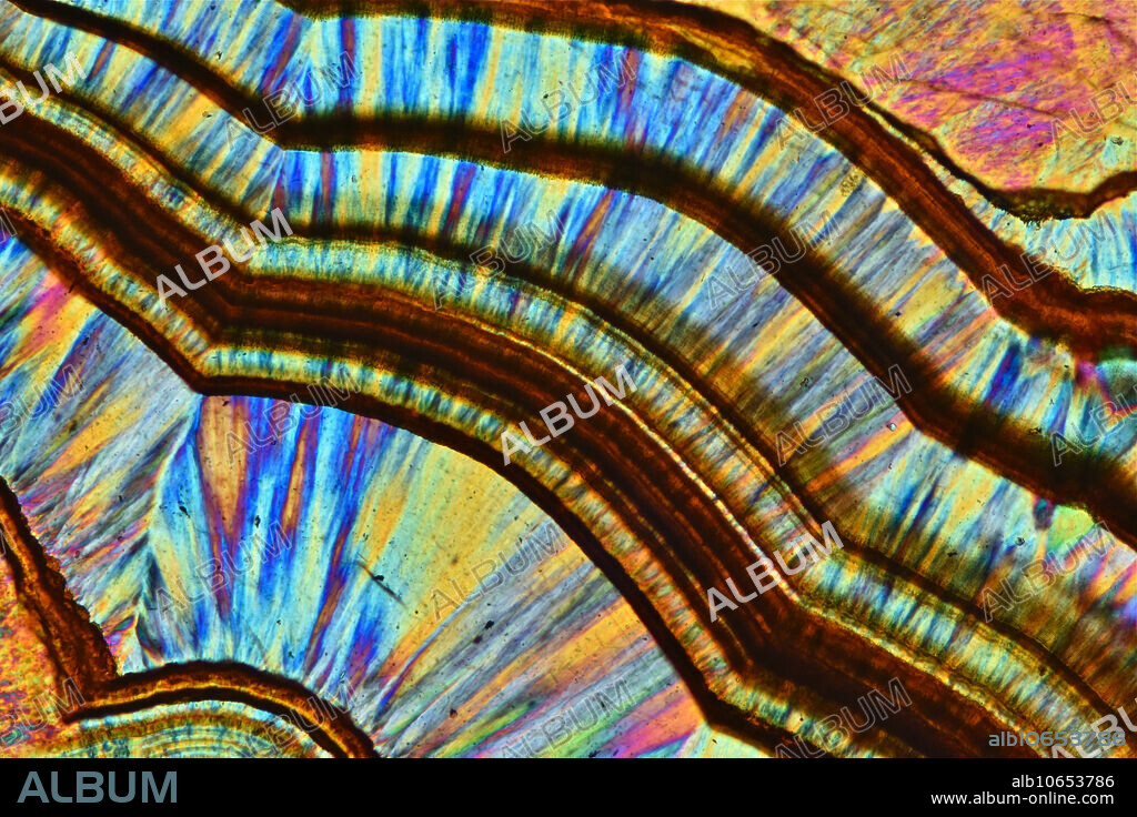 Polarized light photomicrograph of a thin section of agate from Brazil. Agate is made of microcrystalline silica (SiO2), called chalcedony. This image illustrates the origin of agate: hot, silica-rich solutions repeatedly deposit thin layers of chalcedony, often in radial patterns, that vary in shape, color, transparency and thickness. Sometimes linings of crystalline quartz may be present; other times 'dirty' solutions deposit black linings that help track the progressive growth of the rock. Polarized light, crossed polarizers and red tint plate. Thickness of section: 30 microns. Zeiss Axioscop 40pol. Width of view: 2.7 mm.