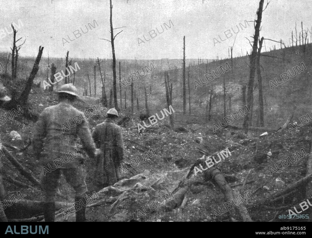 'La reprise du bois de la Caillette; Dans le ravin de la Caillette : au fond, le bois de Vaux-Chapitre', 1916. From "Collection de la Guerre IV. L'Illustration Tome CXLVII. La Guerre Janvier, Fevrier, Mars, Avril, Mai, Juin 1916".
