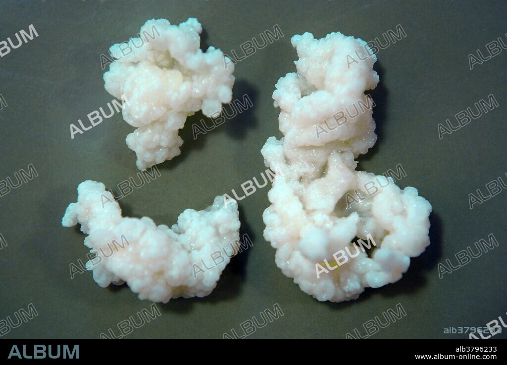Kefir grains are a combination of bacteria, yeast, lipids, sugars, and proteins. It is added to milk, in which it ferments, to create the beverage known as kefir.