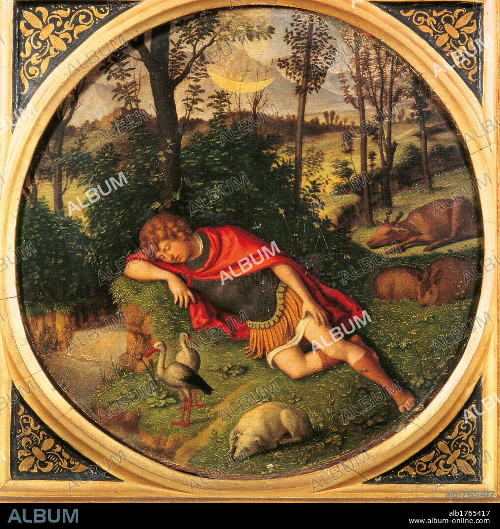The Sleep of Endymion, by Giovanni Battista Cima da Conegliano known as Cima da Conegliano, 1500-1509 about, 16th Century, oil on panel, cm 24,6 x 25,5. Italy, Emilia Romagna, Parma, National Gallery. All. Circle young man sleeping mantle cloak red curls dog rabbits storks ox bushes trees trunks wood stream beam light moon night. Authorization required for non editorial use.