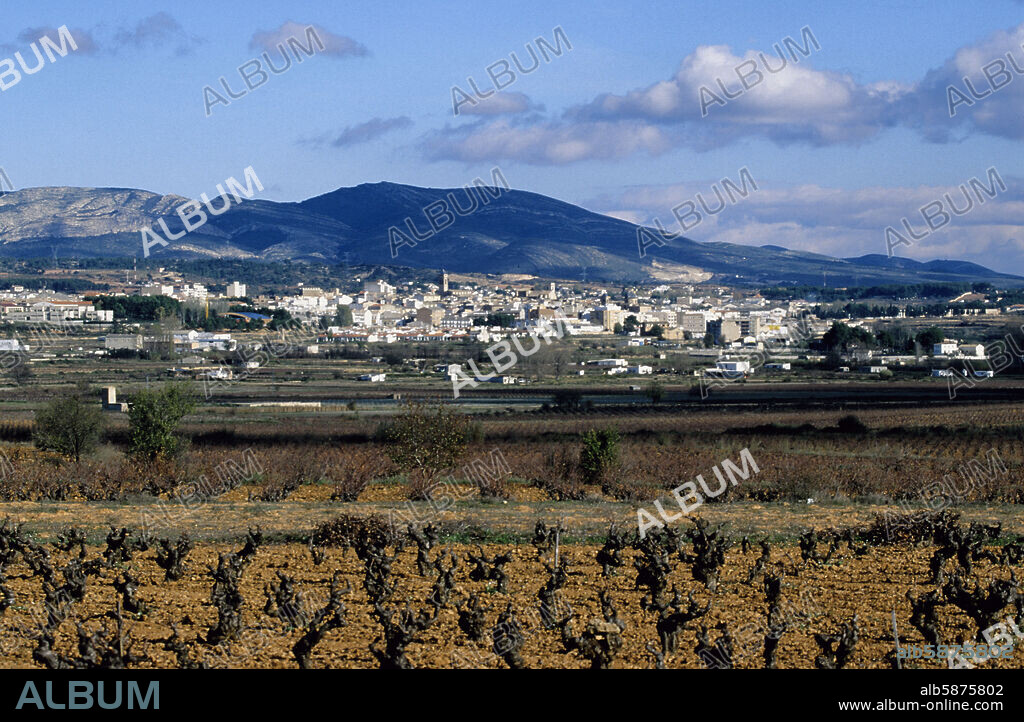 Requena, vista del pueblo y viñedos (comarca de Requena-Utiel).