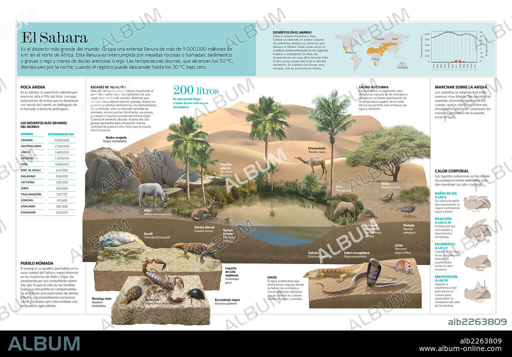 El Sahara. Infografía del bioma del desierto del Sahara.