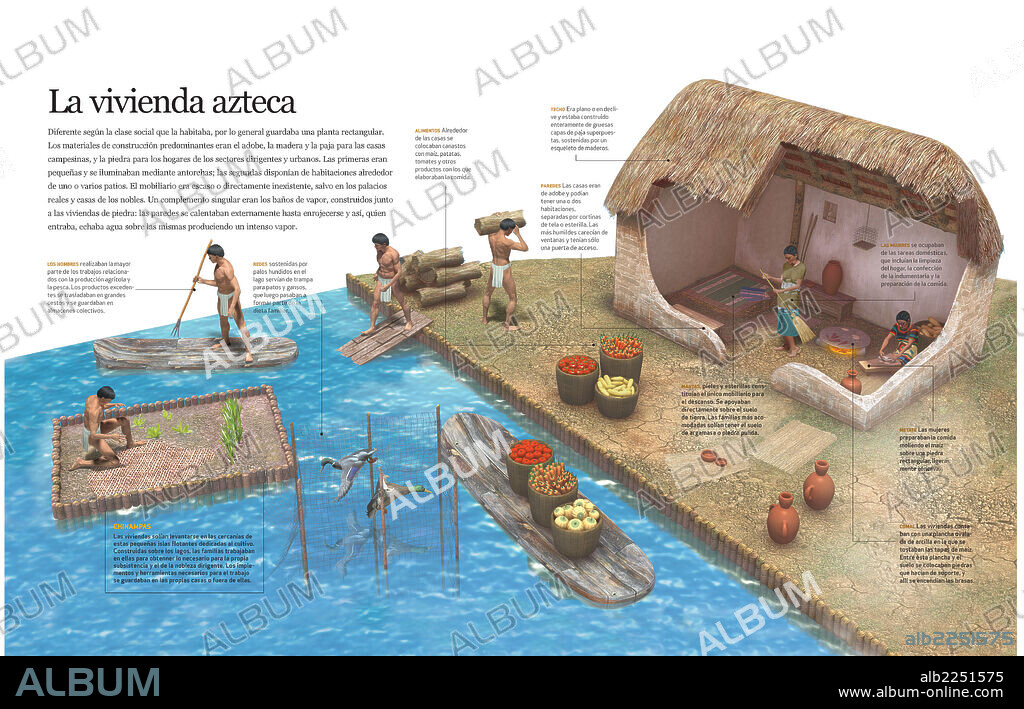 The Aztec housing. Infographics of daily life of Aztecs and their housing.