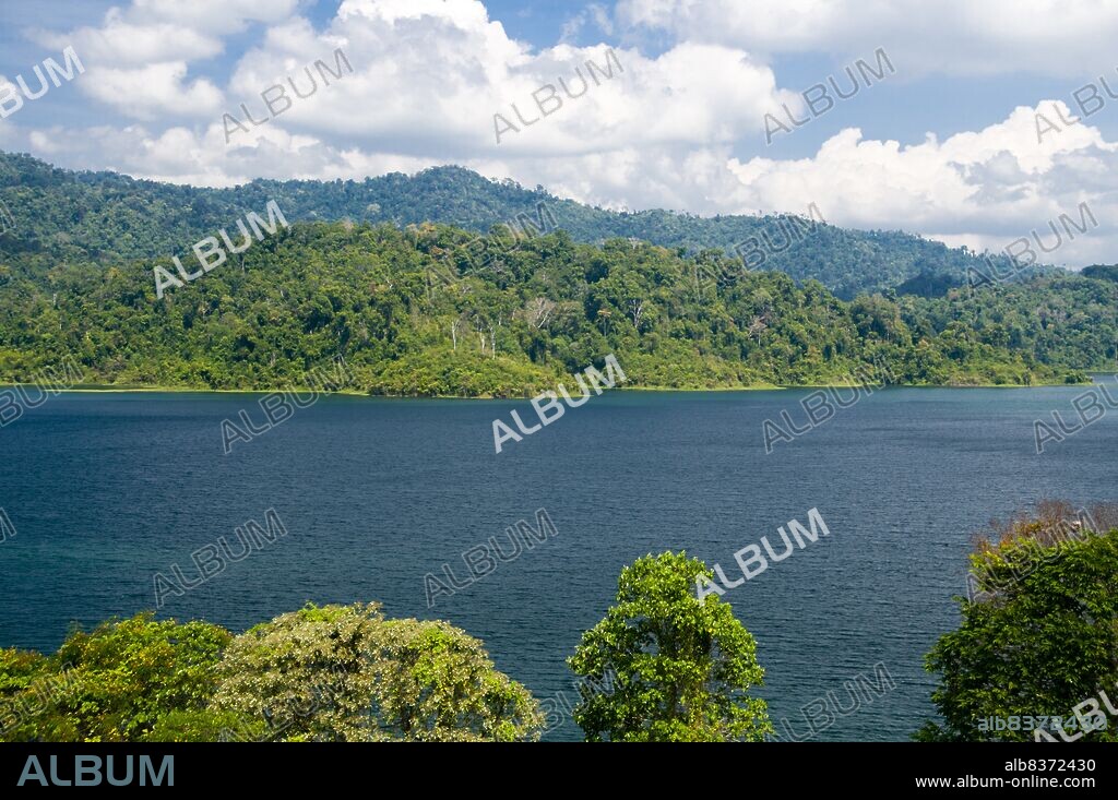 Cheow Lan Lake was created by the construction of Rajjabrapha Dam in 1982, and is also known as Rajjabrapha Lake. Karst outcrops isolated from the mainland by the flooding rise from the waters of the lake to almost 1,000 m (3,000 feet) in height that is, about three times the height of similar karst outcrops at Phang Nga Bay. Gibbons and eagles have access to these isolated peaks, but they are inaccessible to all but the most intrepid of climbers and provide a wonderful haven for rare wildlife.<br/><br/>. Khao Sok National Park forms the largest and most dramatic tract of virgin forest in southern Thailand. This 160 million year old rainforest is some of the oldest in the world. The climate in the area has been relatively unaffected by past ice ages, since the landmass is relatively small and there are seas on both sides.<br/><br/>. Elephants, tigers, bears, boars, tapirs gibbons and monkeys live in the park, along with more than 300 species of birds, including rare hornbills and argus pheasants. Sightings of the larger animals are usually at night, and animal tracks are regularly seen along the parks many marked trails.<br/><br/>. The park also contains a wide range of flora, including the rare Rafflesia, the largest flower in the world which can measure 80 cm (31 inches) across.