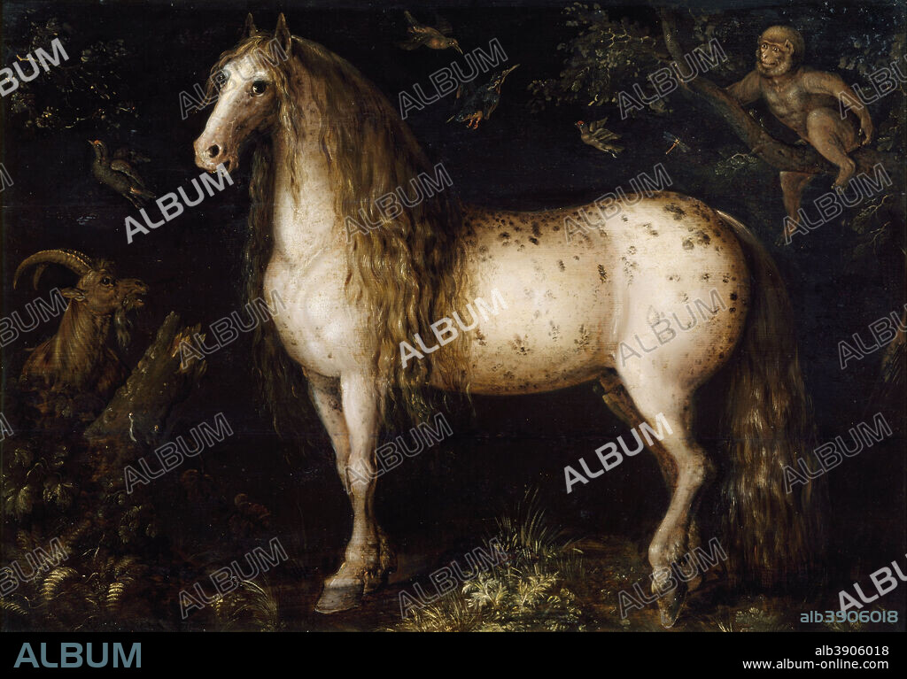 ROELANT SAVERY. The dapple-grey. Date/Period: 1625 - 1630. Painting. Oil on panel. Height: 75.40 mm (2.96 in); Width: 107 mm (4.21 in).