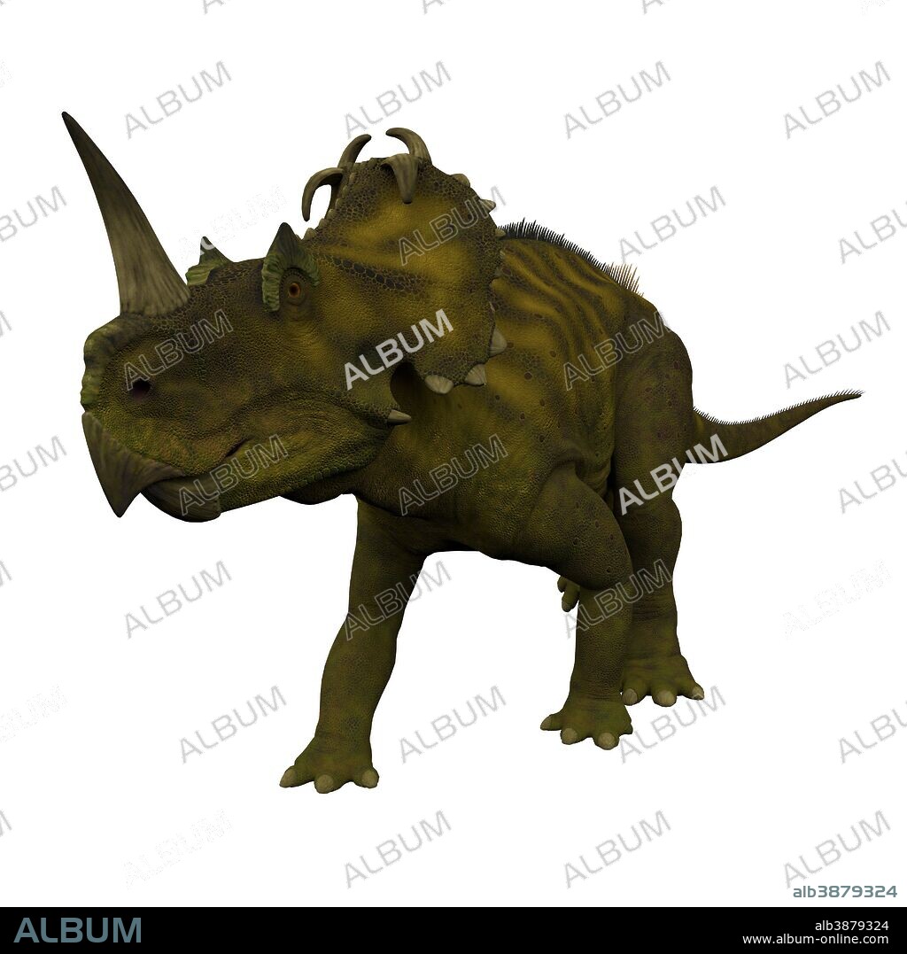 Centrosaurus dinosaur, front view. Centrosaurus was a herbivorous ceratopsian dinosaur that lived in Canada during the Cretaceous Period.
