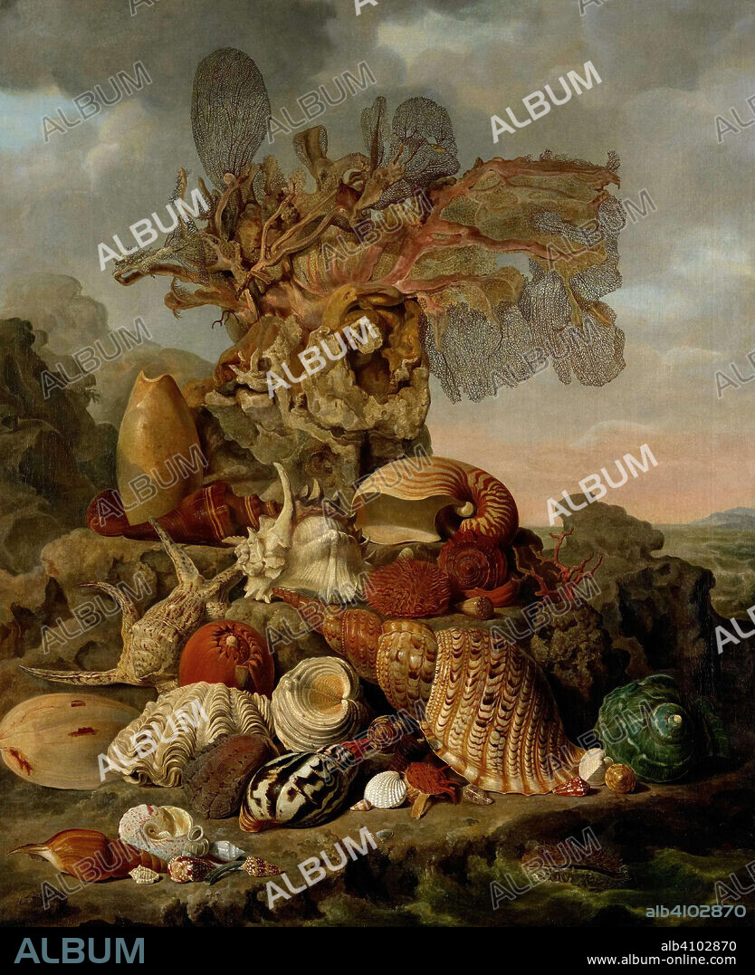 HENRICUS FRANCISCUS WIERTZ. Shells and Marine Plants. Dating: 1809. Measurements: h 106.5 cm × w 86 cm; d 9.3 cm.