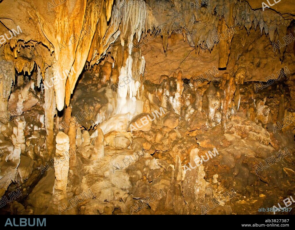 Limestone formations in Florida Caverns State Park, site of the only natural dry cavern in Florida. There are many underwater caves and caverns in this park, which is located in Marianna, Florida.