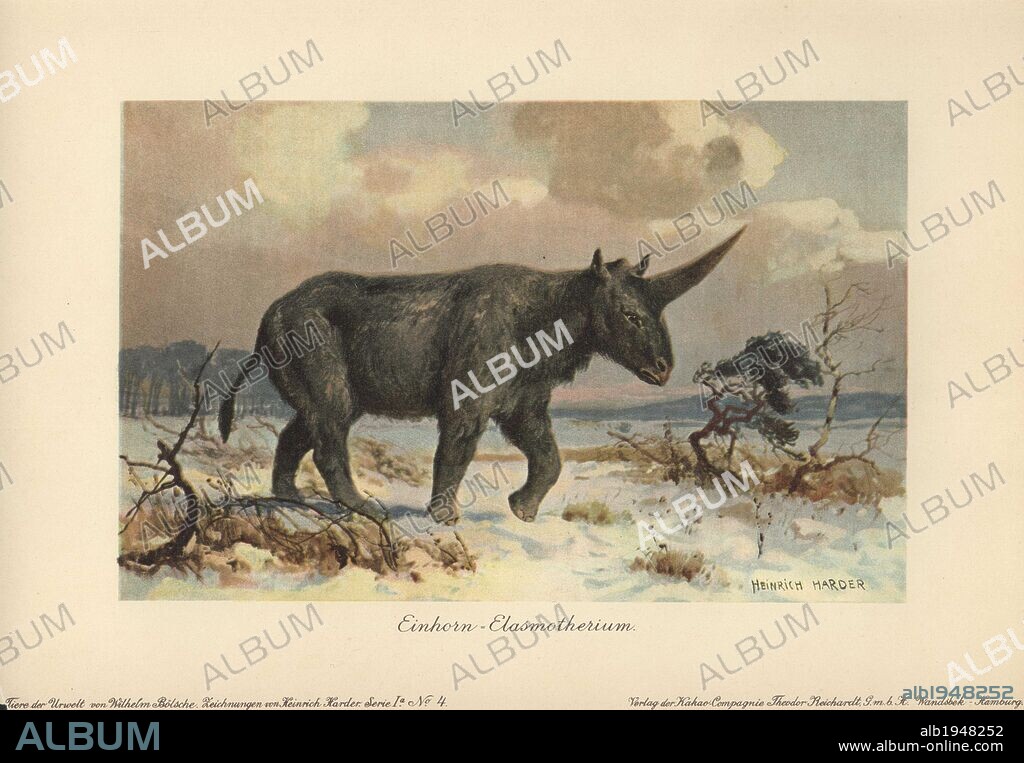 Elasmotherium was an extinct genus of giant rhinoceros native to Asia during the Pliocene through Pleistocene eras.. . Colour printed illustration by Heinrich Harder from "Tiere der Urwelt" Animals of the Prehistoric World, 1916, Hamburg. Heinrich Harder (1858-1935) was a German landscape artist and book illustrator. From a series of prehistoric creature cards published by the Reichardt Cocoa company. Natural historian Wilhelm Bolsche wrote the descriptive text.