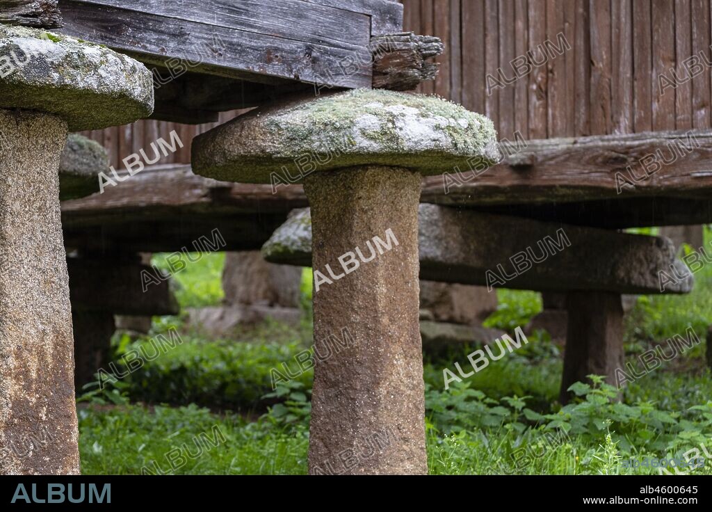Conjunto de hórreos de A Merca, Terras de Celanova, Ourense, Galicia, Spain.
