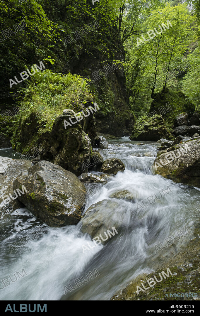 Garganta de Kakueta, Sainte-Engrâce, región de Aquitania, departamento de Pirineos Atlánticos, Francia.