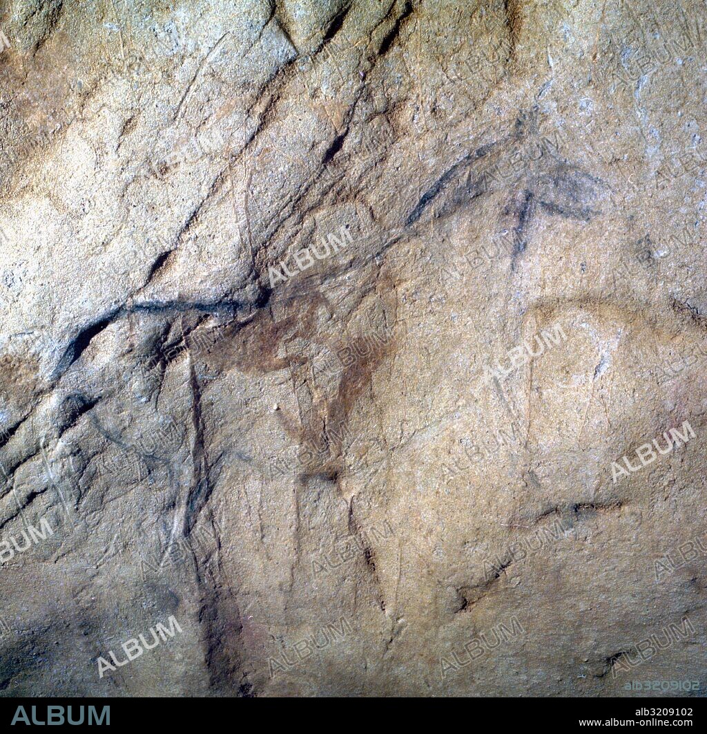 CUEVA DE EKAIN. GALERIA DE ZALDEI O DE LOS CABALLOS: VARIAS PINTURAS DE CABALLOS Y DETALLES.  DEVA, GUIPUZCOA, PAIS VASCO, ESPAÑA.