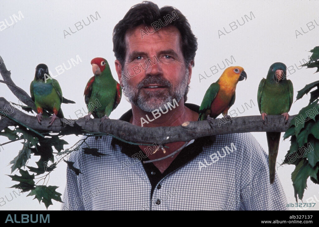 JOHN ROBERTS en PAULIE EL LORO BOCAZAS, 1998 (PAULIE), dirigida por JOHN ROBERTS. Copyright DREAMWORKS / IOVINO, PETER.