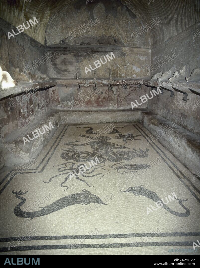 ARTE ROMANO. ITALIA. Vista general del MOSAICO con teselas negras y blancas que decora el pavimento de una de las salas de las TERMAS URBANAS FEMENINAS (siglo I d. C). El tema central representa a UN TRITON rodeado por delfines y un amorcillo. HERCULANO. La Campania.