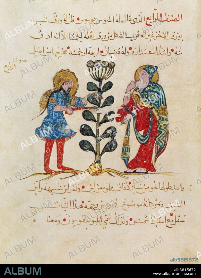 Page from a 1224 Arabic edition of "De Materia Medica" by the Greek physician, pharmacologist and botanist Pedanius Dioscorides (40 - 90 AD). The illustration depicts a physician and attendant with heliotrope. Dioscorides served in the Roman army under emporer Nero. Like many early physicians, he depended on herbs and other substances for medicinal treatments. The thistle is one of approximately 600 plants and 1000 minerals and animal derivatives for therapeutic use he described in De Materia Medica, the first extensive pharmacopeia.