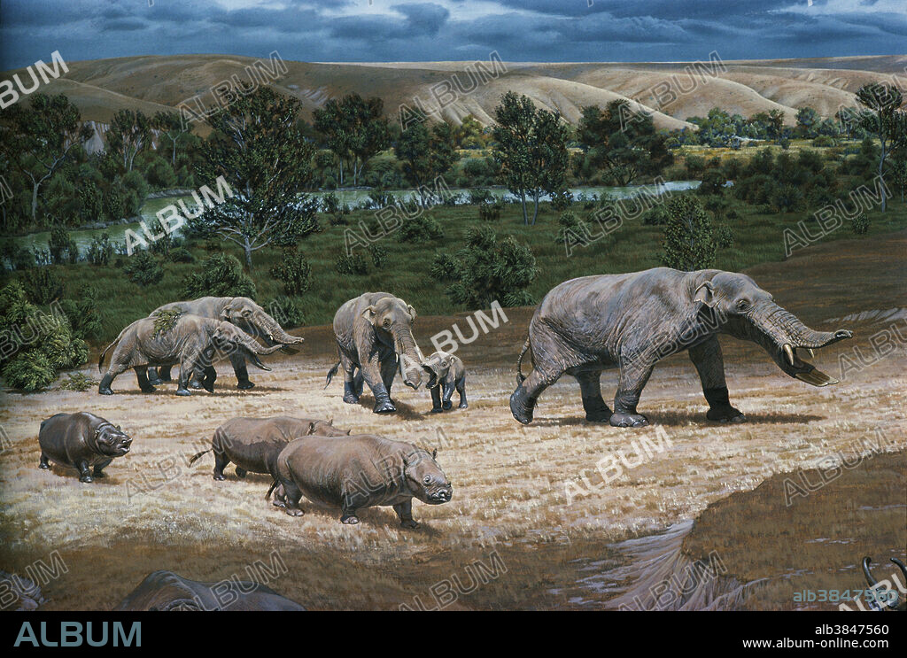 Amebelodon, a shovel-tusked mastodon-like mammal, and Teleoceras, a short-legged rhinoceros, from the Pliocene Epoch in the high plains of North America. Illustration from the National Museum of Natural History.