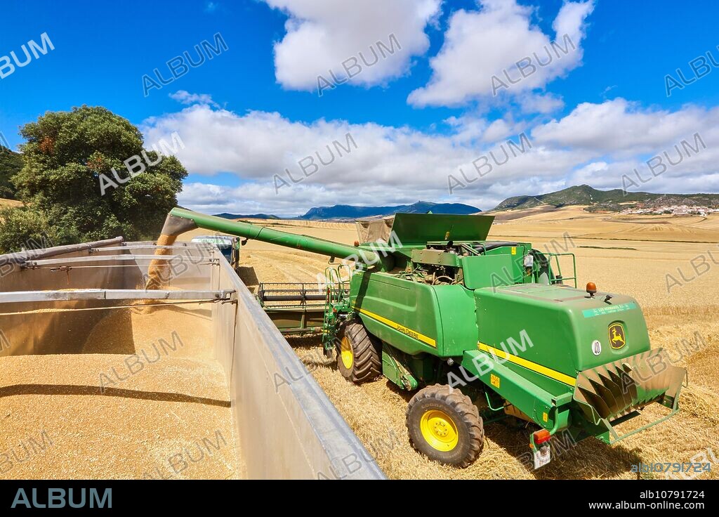 Combine cereal. Agricultural machinery Combine harvester on field of wheat Learza estate Near Estella, Navarre, Spain.