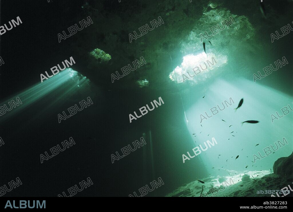 Cenote Esqueleto