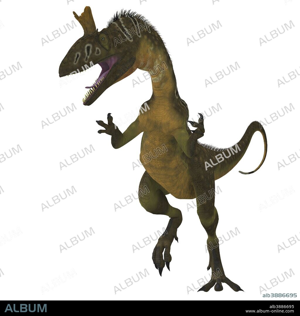 Cryolophosaurus dinosaur on white background. Cryolophosaurus was a large carnivorous dinosaur that lived in Antarctica during the Jurassic Period.