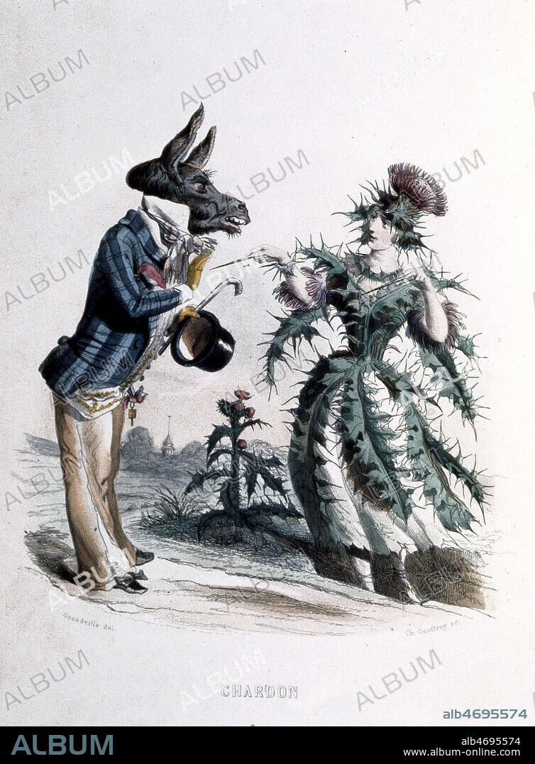 Chardon. Gravure tiree de l'edition de 1867 des Fleurs animees illustrees par GRANDVILLE (1803-1847). Credit : Collection KHARBINE-TAPABOR.