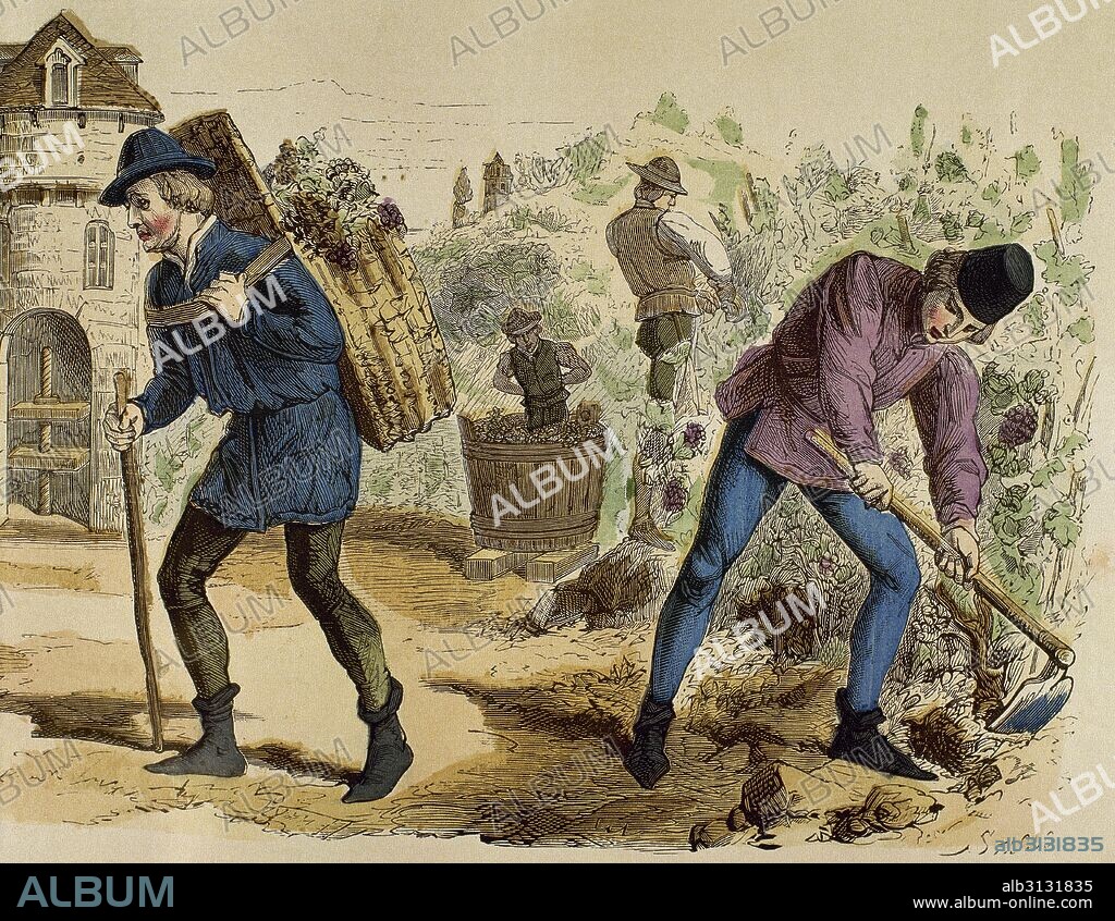 France. 15th century. Peasants working during the harvest. Engraving by Stablo. Colored.