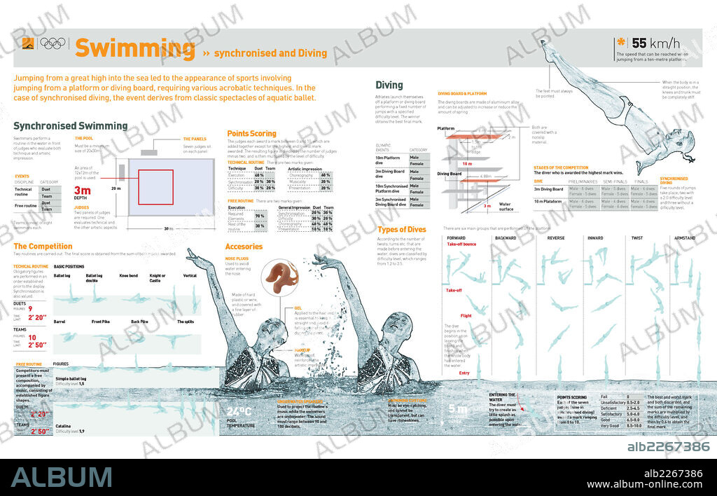 Natación sincronizada y saltos. Infografía de las pruebas olímpicas de la natación sincronizada y los saltos de trampolín y los tipos de posiciones y saltos.