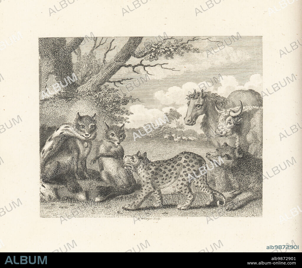 The Lion, the Fox and the Geese. A fox in ermine robe speaks at a parliament of animals after the retirement of the lion king. Leopard, horse, cow and hound pay their respects, but a goose complains of the tyranny of predators. Copperplate engraving by William Grainger after an illustration by John Wootton from Fables by John Gay, with a Life of the Author, John Stockdale, London, 1793.