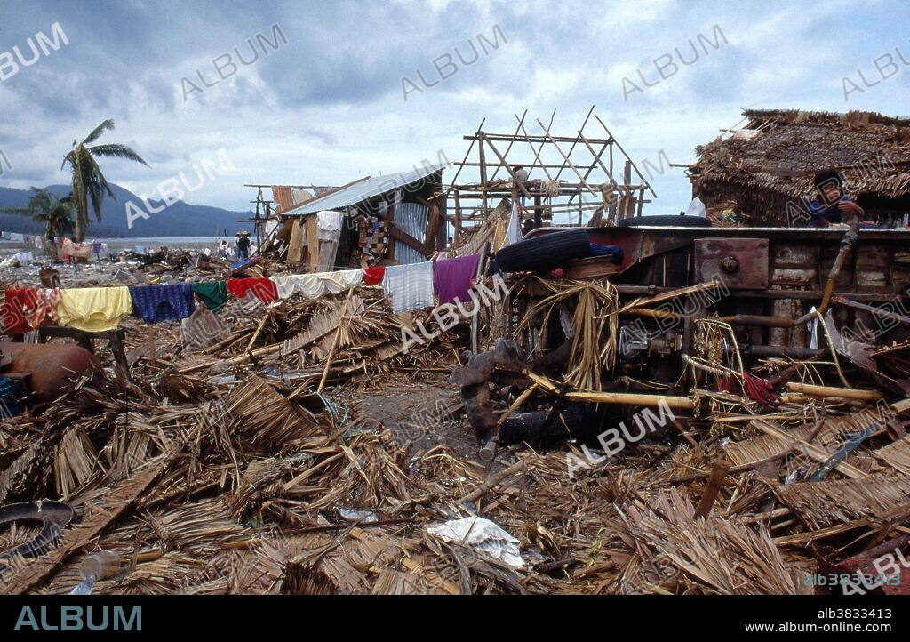 The aftermath of Typhoon Nina in Bichol, Philippines.