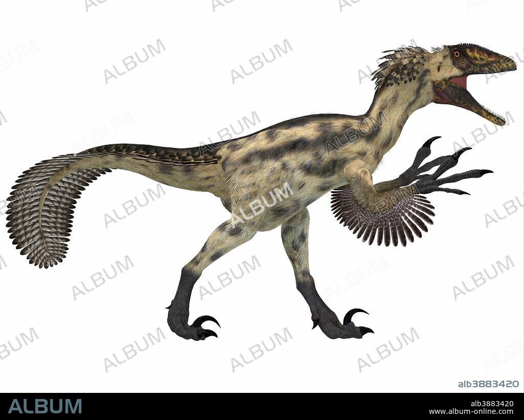 Deinonychus is a carnivorous dinosaur from the early Cretaceous Period.
