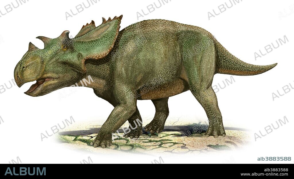 Utahceratops gettyi, a prehistoric era dinosaur from the Late Cretaceous period.