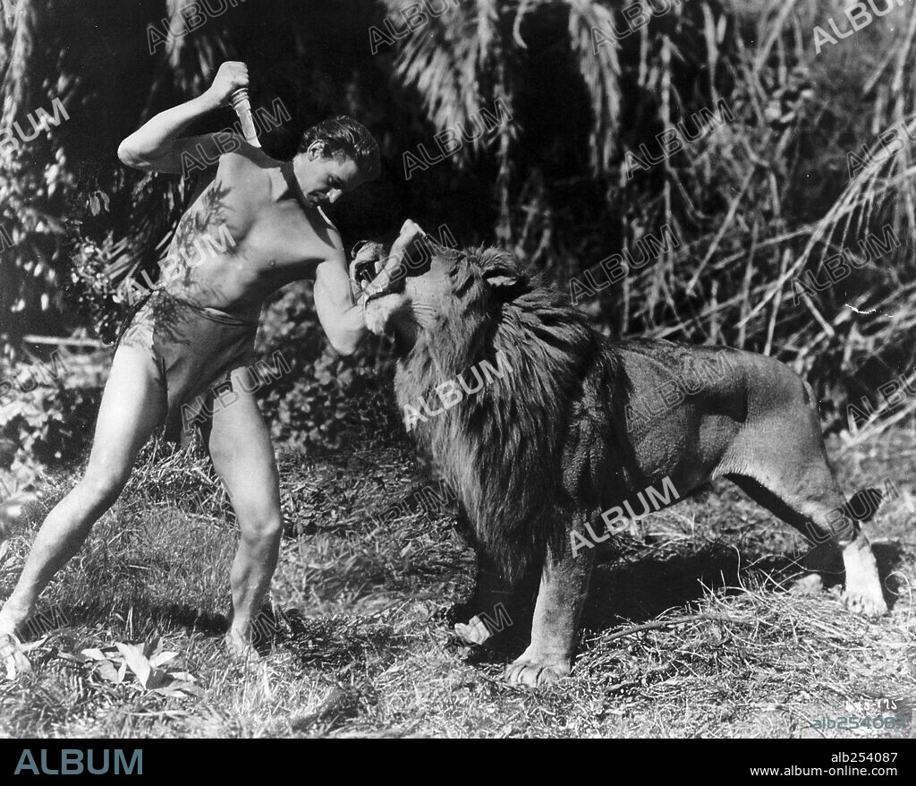JOHNNY WEISSMULLER en TARZÁN Y SU COMPAÑERA, 1934 (TARZAN AND HIS MATE), dirigida por CEDRIC GIBBONS. Copyright M.G.M.