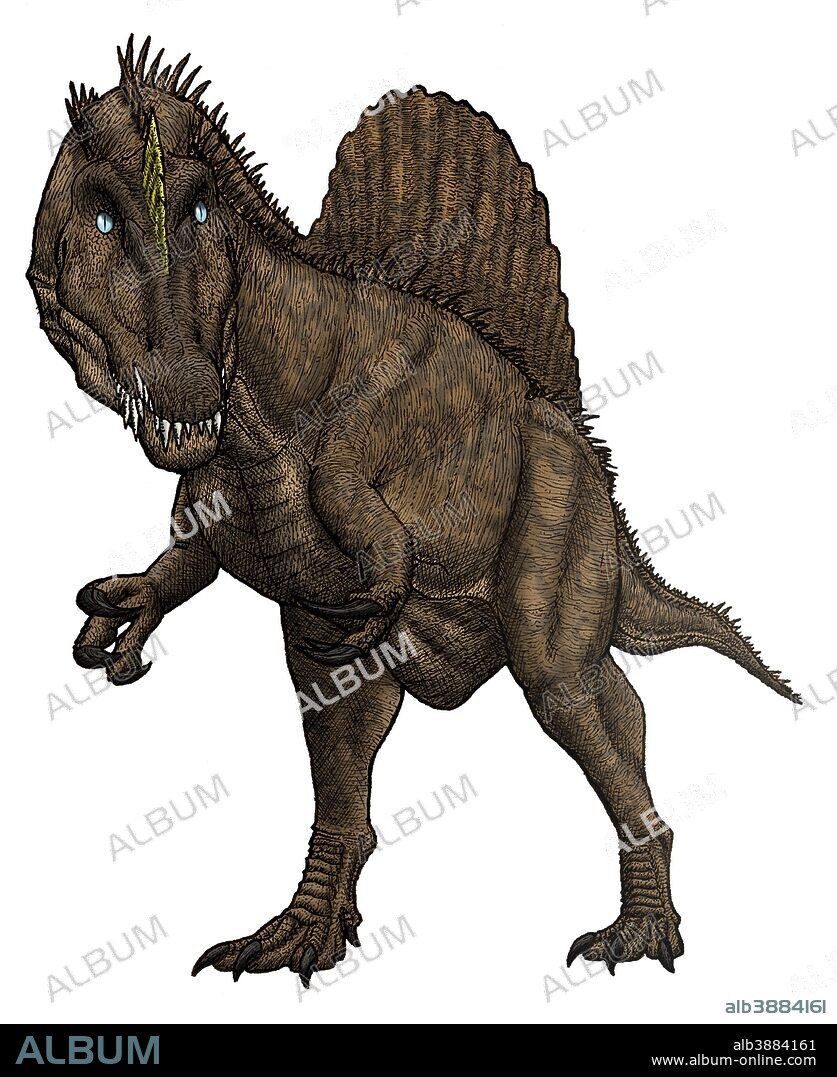 Oxalaia, huge Brazilian spinosaurid from the Late Cretaceous Period.