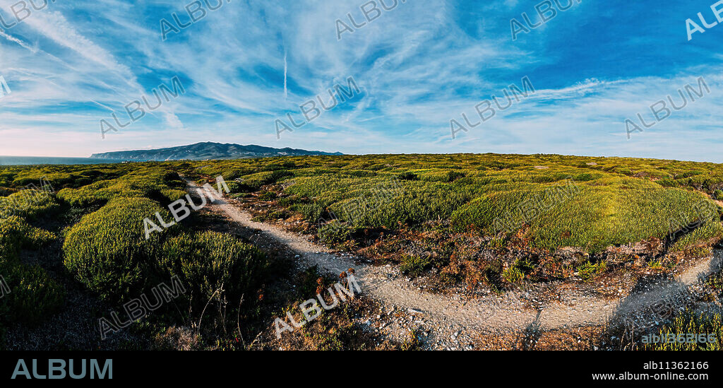 Aerial drone panoramic view of Sintra National Park, with Cabo da Roca in the far left background, next to Guincho Beach, Cascais, Portugal, Europe.