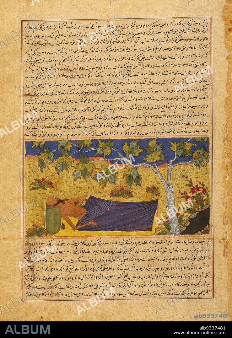 Job Lying Under a Tree,' Page from an Illustrated Manuscript of the Majma` al-tavarikh, Collection of Chronicles of Hafiz Abru, d. 1430, Ink, opaque watercolor, and gold on paper, Herat, Afghanistan, ca. 1425, Timurid, Timurid Period, Sheet: 13 x 16 15/16 in., 33 x 43 cm, arabic, beard, book, folio, gold, gold on paper, Hafiz, Hafiz Abru, illumination, illustrated manuscript, illustration, ink, Islamic, Job, Job Lying Under a Tree, leafy, lying, Majma, Majma al-tavarikh, manuscript, old man, page, Persian, sheet, sleep, sleeping, tree, watercolor.