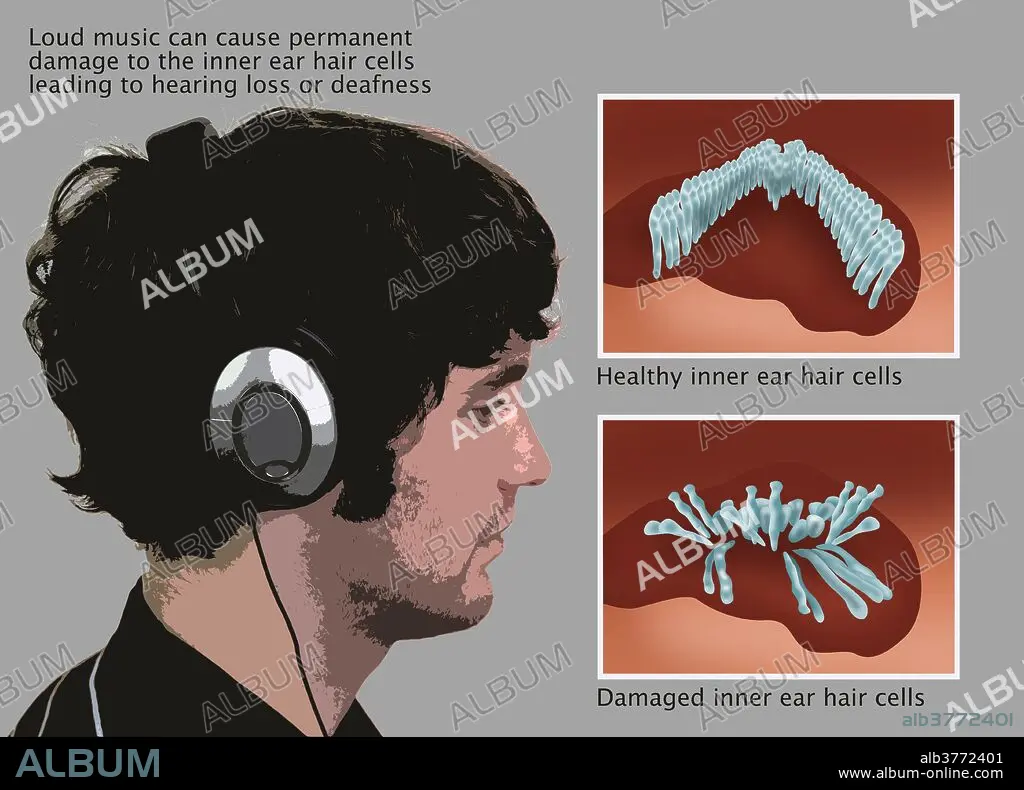 ALL YOUR EARS CAN HEAR 2 CD コンピレーション + 本 ALL YOUR EARS CAN HEAR 2 CD コンピレーション + 本 洋楽