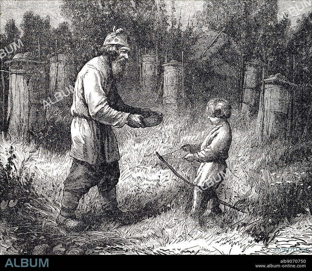 Engraving depicting a Russian beekeeper. Beekeeping (or apiculture) is the maintenance of honey bee colonies, commonly in man-made hives, by humans. Dated 19th century.