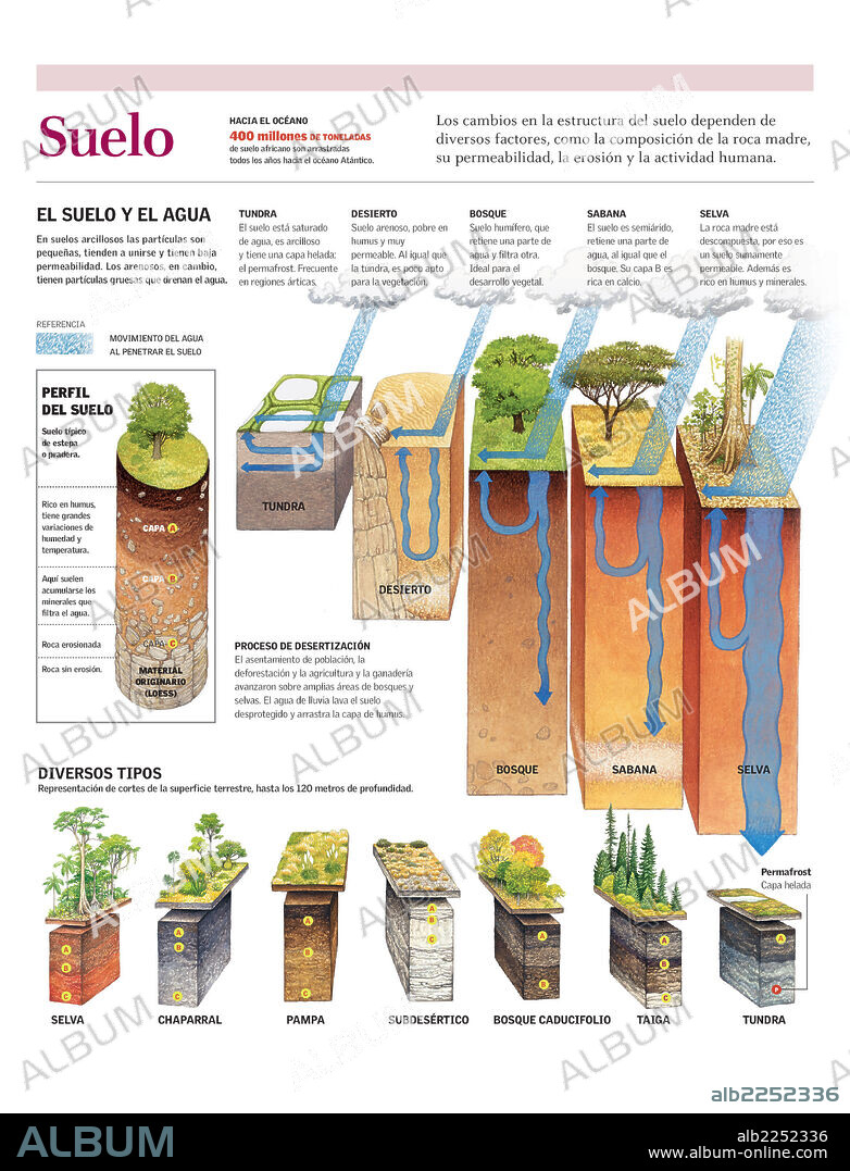 SUELO. Infografía de los distintos tipos de suelo según su permeabilidad al agua y las capas que componen el suelo.