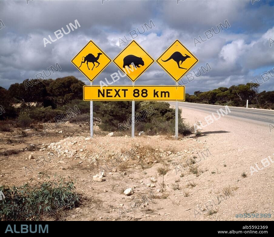 Australien. Verkehrszeichen: Warnung vor Wildwechsel (Kamele, Wombats und Känguruhs). Foto, 1996/97.