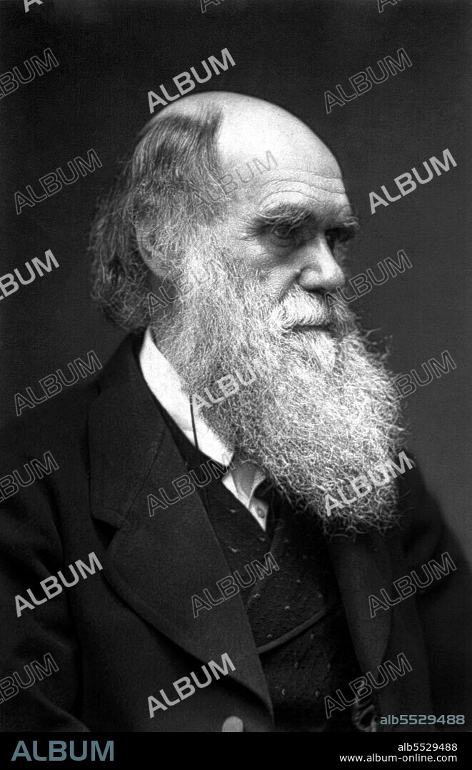 Charles Robert Darwin, FRS (12 February 1809 – 19 April 1882) was an English naturalist and geologist, best known for his contributions to evolutionary theory. He established that all species of life have descended over time from common ancestors, and in a joint publication with Alfred Russel Wallace introduced his scientific theory that this branching pattern of evolution resulted from a process that he called natural selection, in which the struggle for existence has a similar effect to the artificial selection involved in selective breeding.  Darwin published his theory of evolution with compelling evidence in his 1859 book 'On the Origin of Species', overcoming scientific rejection of earlier concepts of transmutation of species. By the 1870s the scientific community and much of the general public had accepted evolution as a fact. However, many favoured competing explanations and it was not until the emergence of the modern evolutionary synthesis from the 1930s to the 1950s that a broad consensus developed in which natural selection was the basic mechanism of evolution. In modified form, Darwin's scientific discovery is the unifying theory of the life sciences, explaining the diversity of life.