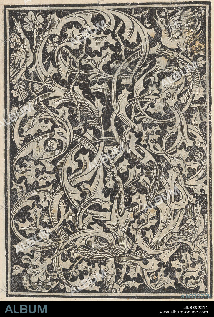 MATTEO PAGANO. Trionfo Di Virtu. Libro Novo..., page 27 (recto), 1563.
